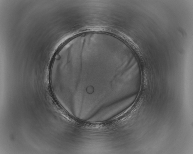 X0000111201174200907221124