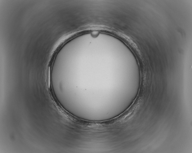 X0000111201175200907221124