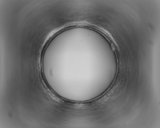 X0000111201176200907221124