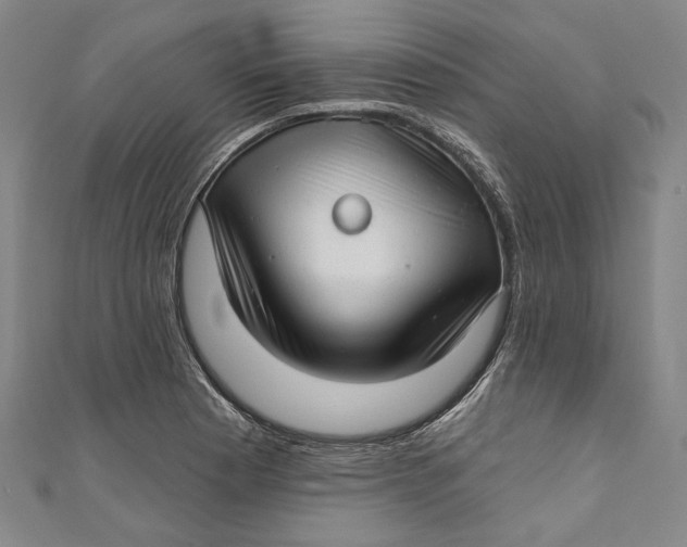 X0000111201177200907221124