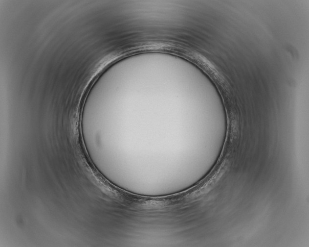 X0000111201178200907221124