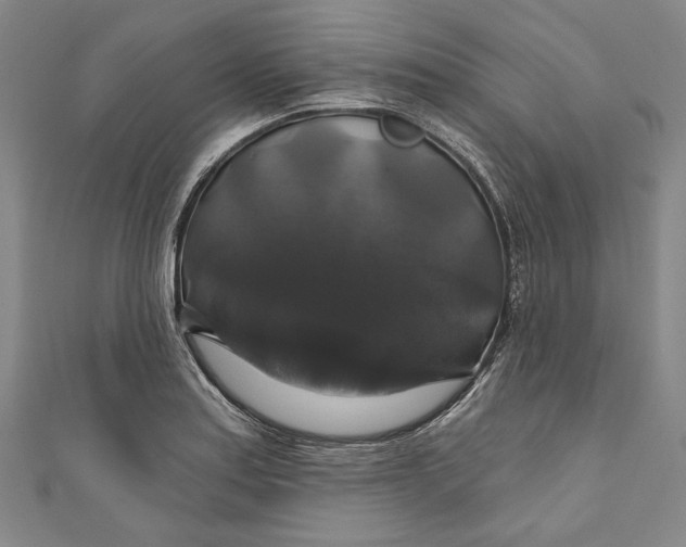 X0000111201179200907221124