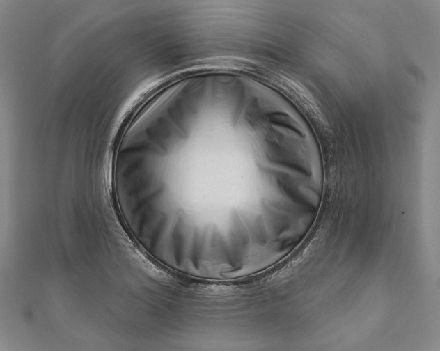 X0000111201180200907221124