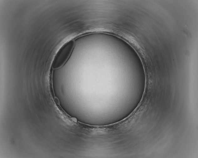 X0000111201181200907221124