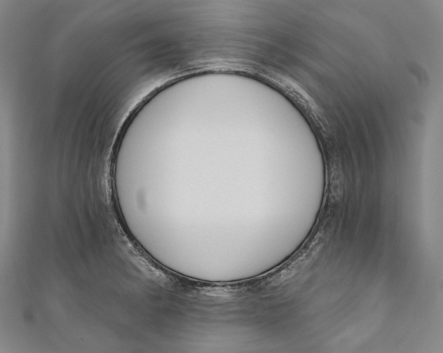 X0000111201182200907221124