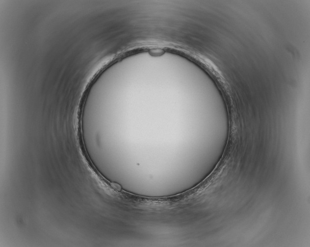 X0000111201183200907221124