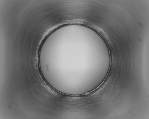 X0000111201184200907221124