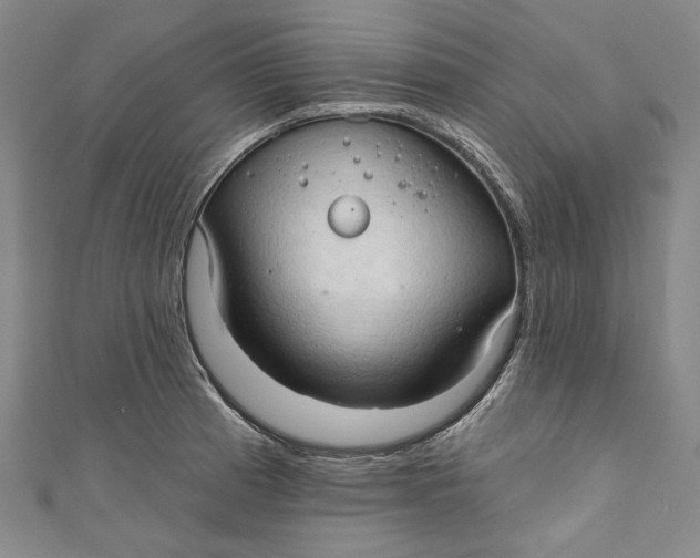 X0000111201185200907221124