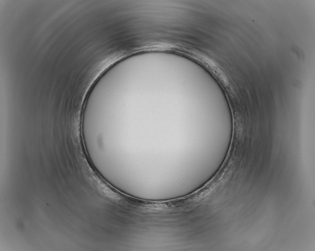 X0000111201186200907221124