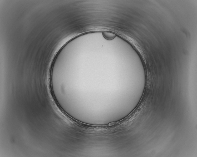 X0000111201187200907221123