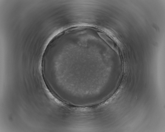 X0000111201189200907221123