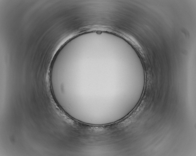 X0000111201190200907221123