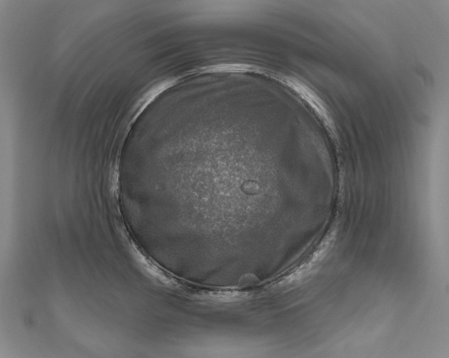 X0000111201193200907221123