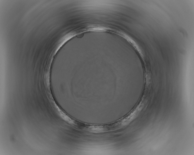 X0000111201194200907221123