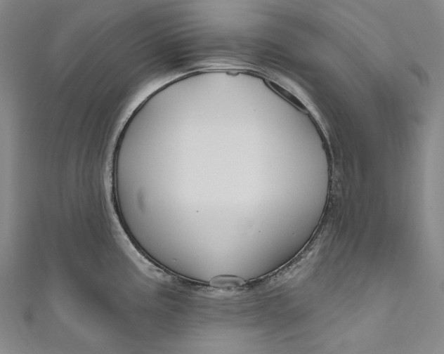 X0000111201195200907221123