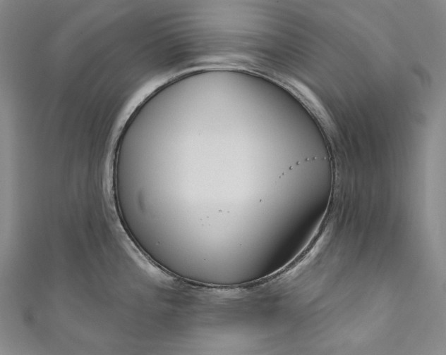 X0000111201196200907221123