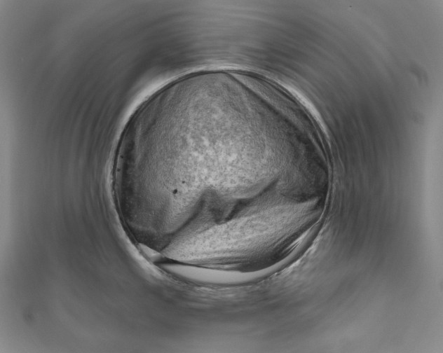 X0000111201197200907221123