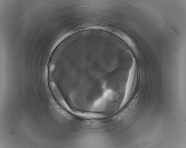 X0000111201198200907221123