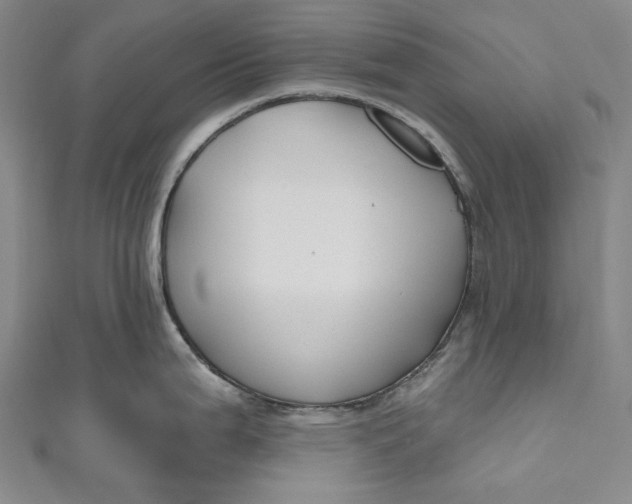 X0000111201199200907221123