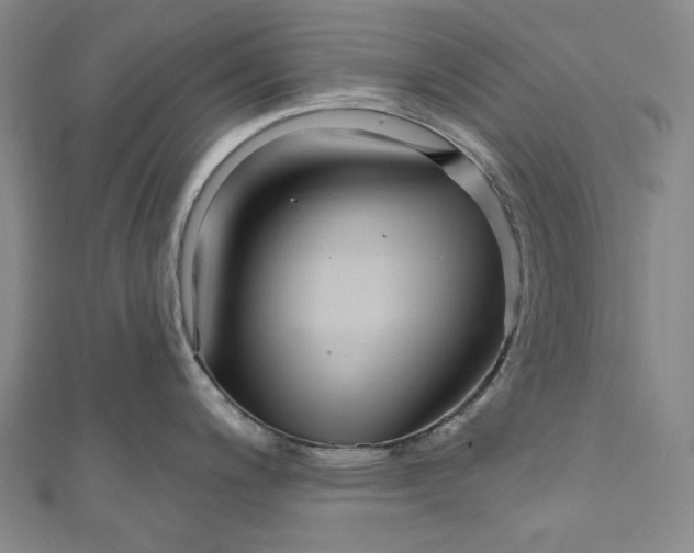 X0000111201200200907221123