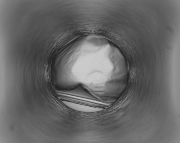 X0000111201202200907221123