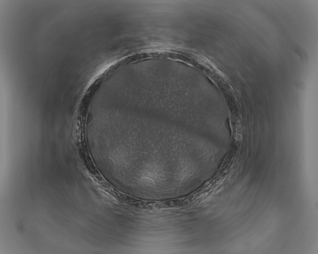 X0000111201208200907221123