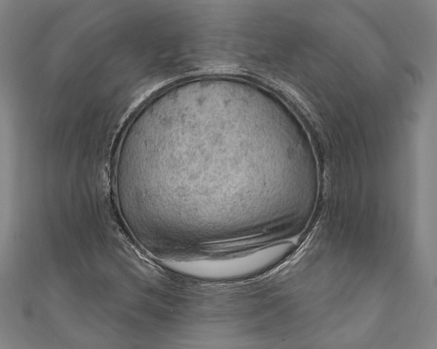 X0000111201212200907221123