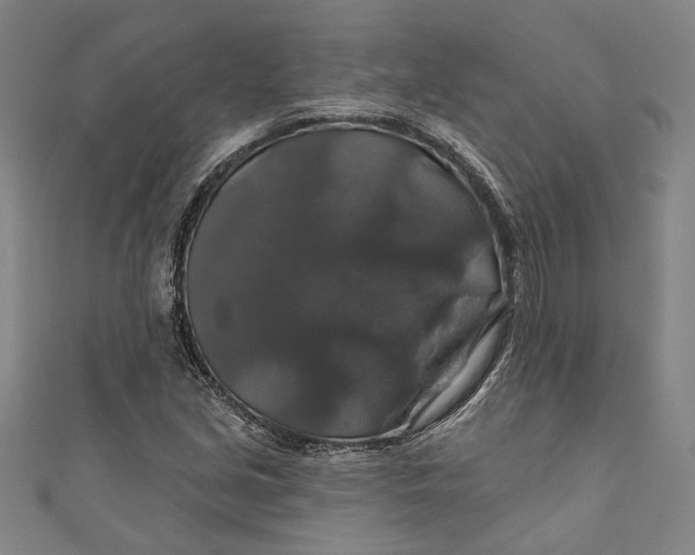 X0000111201213200907221123