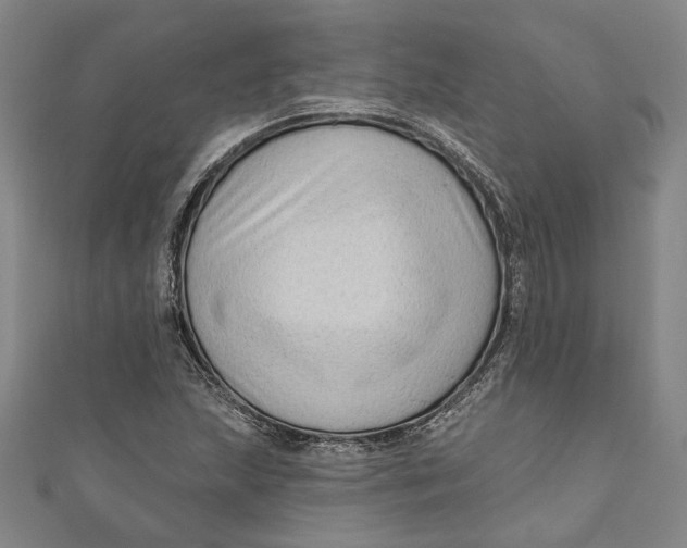 X0000111201215200907221123