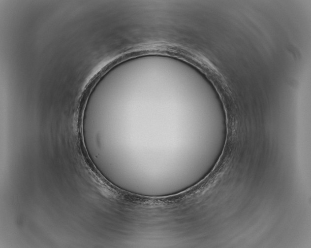 X0000111201216200907221123