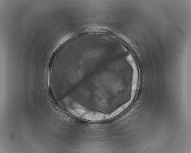 X0000111201219200907221123