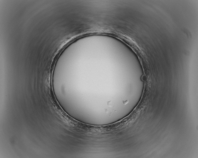 X0000111201220200907221123