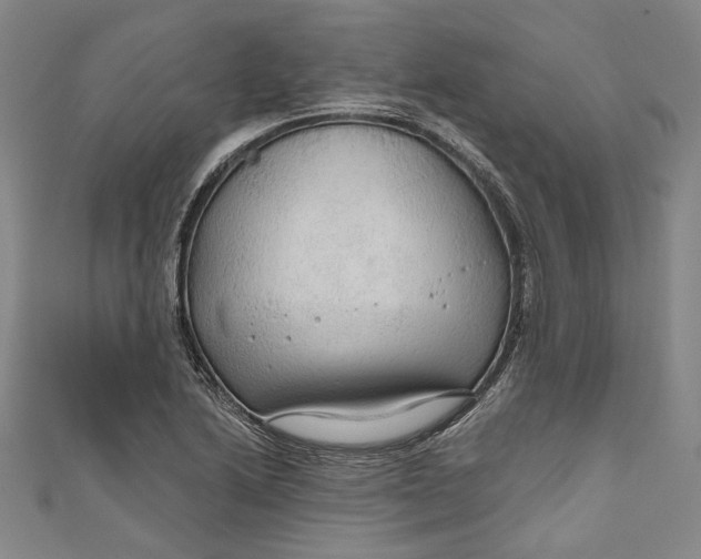 X0000111201222200907221123