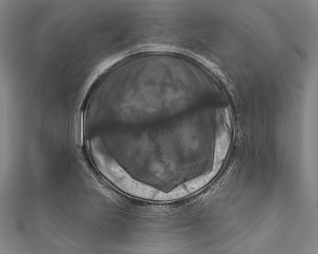 X0000111201223200907221123