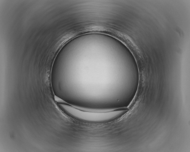 X0000111201225200907221123