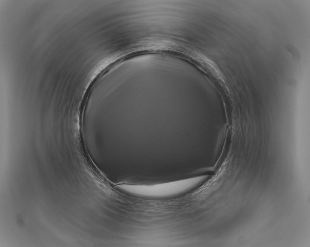 X0000111201226200907221123