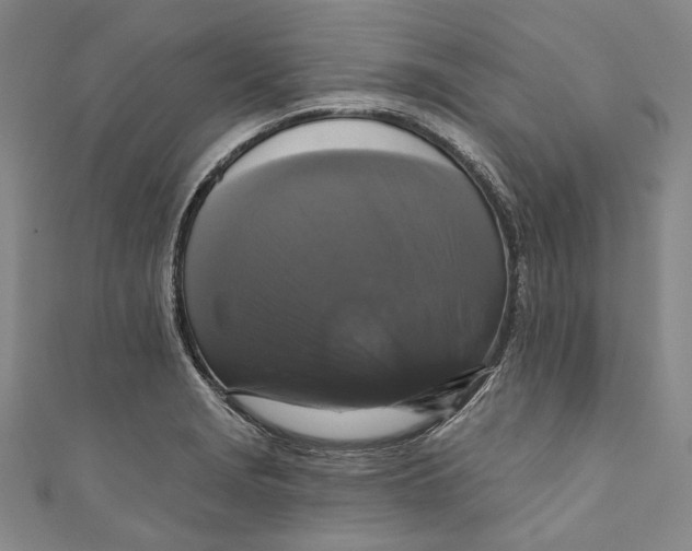 X0000111201229200907221123