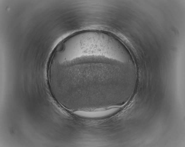 X0000111201230200907221123