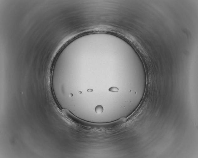 X0000111201232200907221123