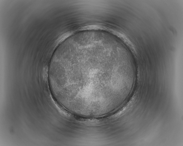 X0000111201233200907221123