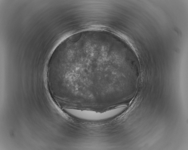 X0000111201235200907221123