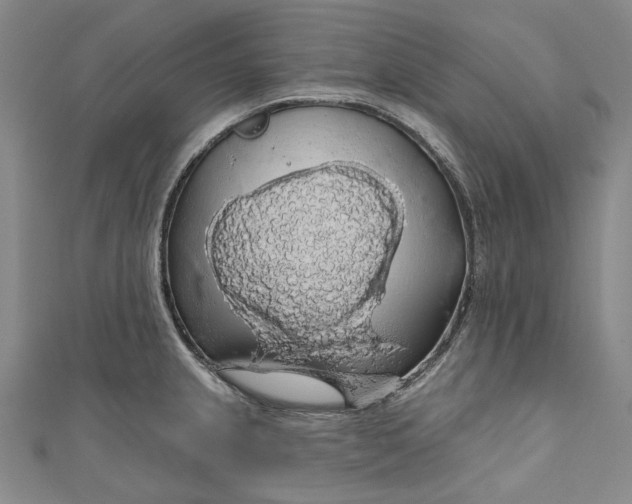 X0000111201237200907221123