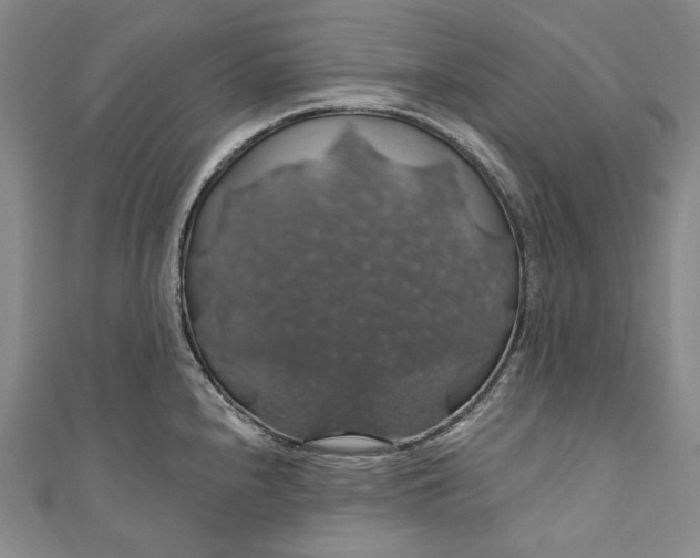 X0000111201240200907221123