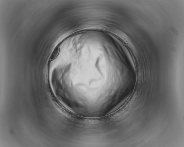 X0000111201242200907221123