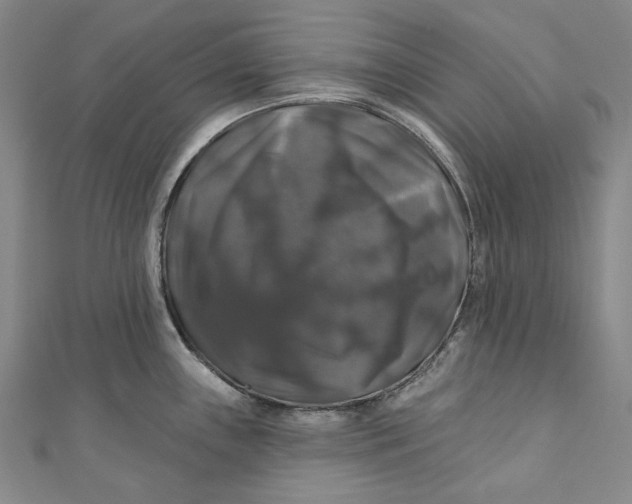 X0000111201243200907221123