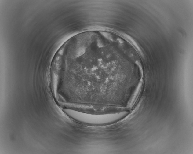 X0000111201244200907221123