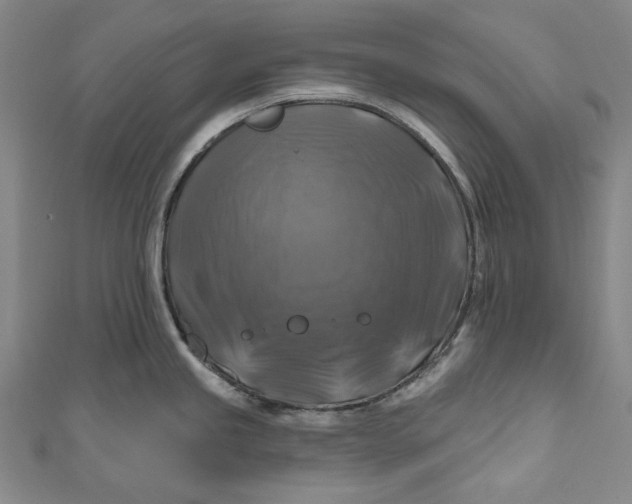 X0000111201245200907221123