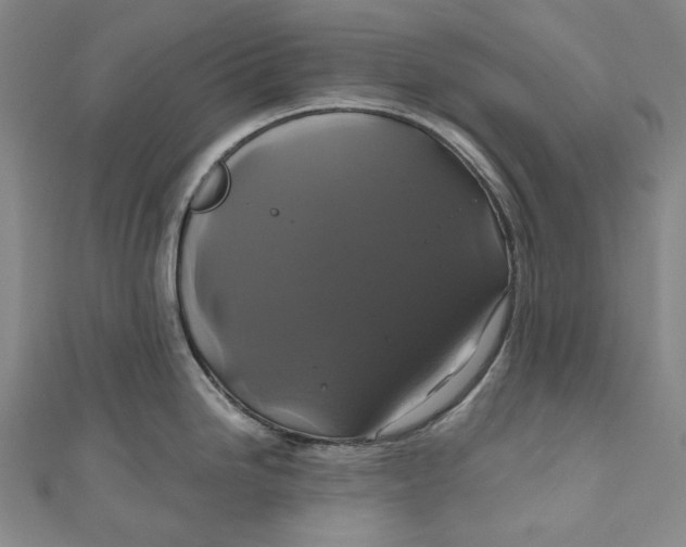 X0000111201246200907221123