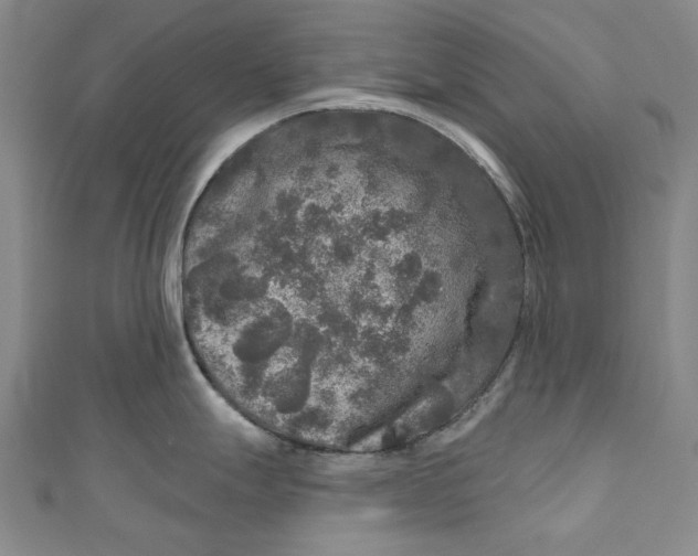 X0000111201247200907221123