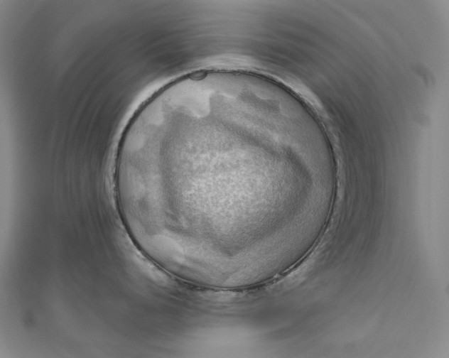 X0000111201248200907221123